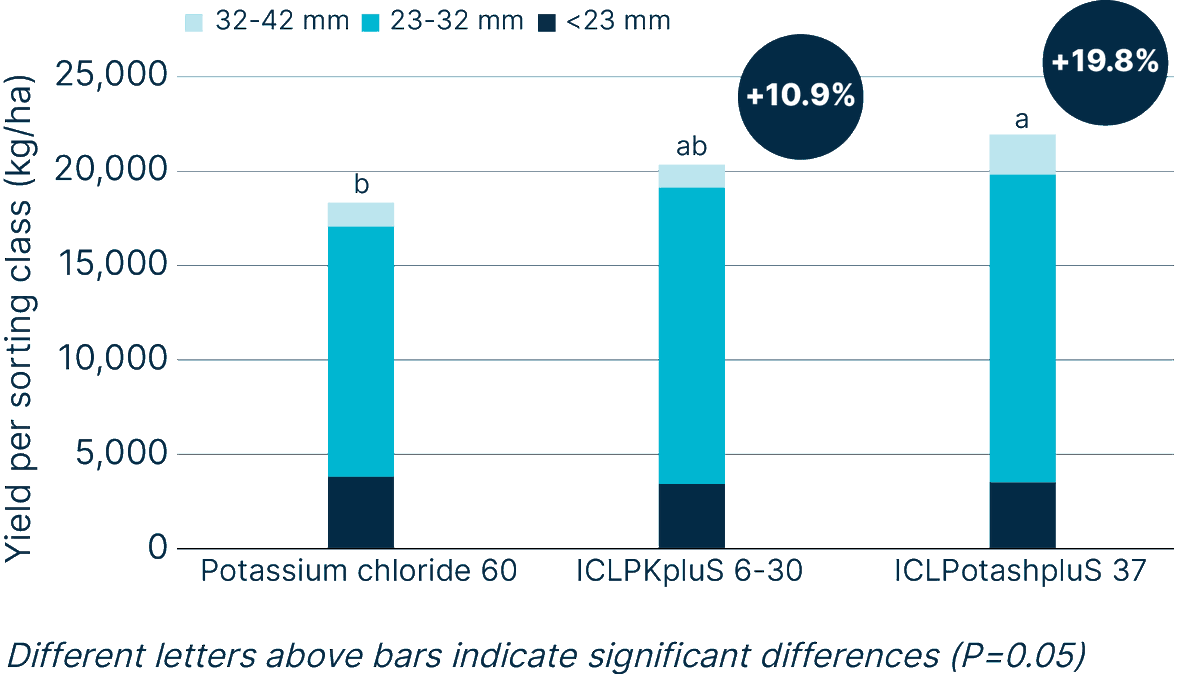 fertilizerpluS's tweet photo. Our #ICLPKpluS & #ICLPotashpluS premium fertilizers are great for Brussels sprouts
- increased sprout yield (by up to 19.8%)
- higher proportion of larger sprouts
- increased financial yield (by up to 19.3%)
https://t.co/OxLcufdX8L
#cropnutrition #BrusselsSprouts #croptrial https://t.co/XZhOk3eGqT