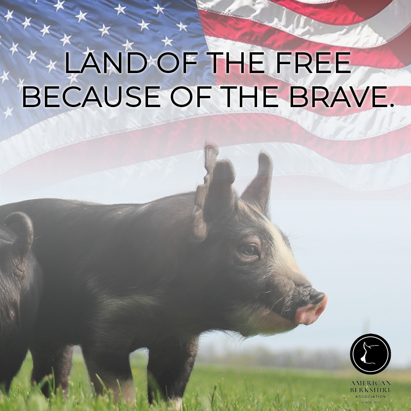 Thank you to our service men and women who have fought and continue to fight to keep our country free. We're wishing everyone a safe and happy 4th of July!

#AmericanBerk #4thofJuly