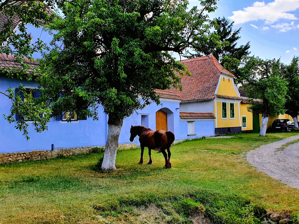 Unterwegs in #transsilvania #rumänien #Siebenbürgen, meine #ökotourismus Tipps, charmante Gästehäuser, #glamping jetzt auf #blog▶️bit.ly/3aalQiD