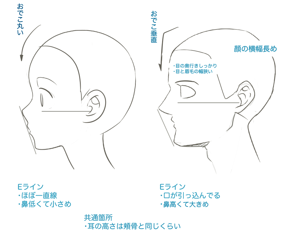 誰でも描ける人種差横顔 