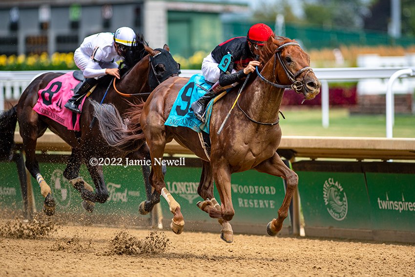 wowhorse's tweet photo. RATTLE N ROLL, with @b_hernandezjr up, winning the American Derby at @ChurchillDowns for trainer @KennyMcPeek. 2nd stakes win for this son of Connect, including the G1 @claibornefarm Breeders' Futurity. https://t.co/1RDt34WbJ6