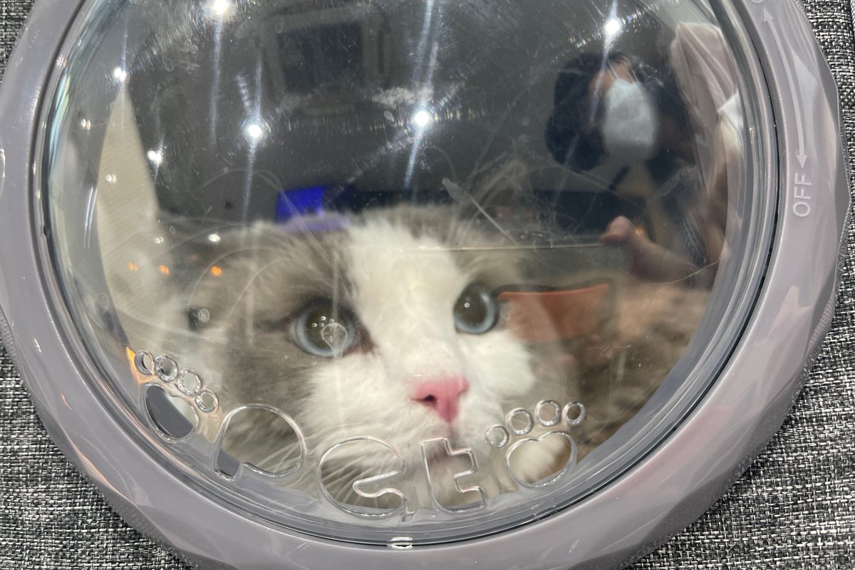 ❤❤❤❤❤売り切れました ْ on X