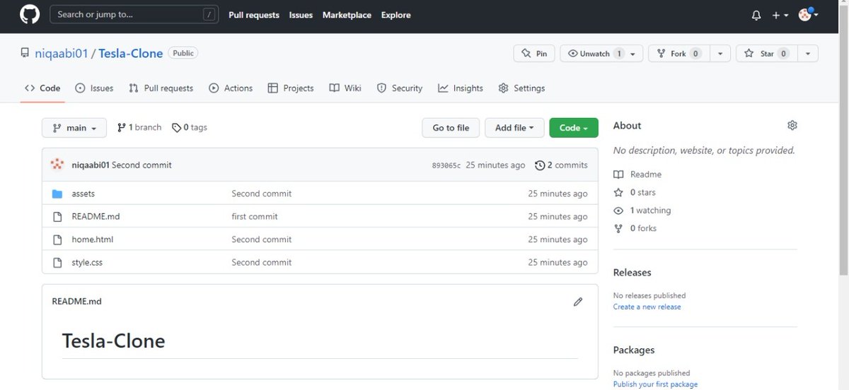 saaniah_b's tweet photo. I did it.
Day 1 of 100 coding with @zaionites 
Tesla clone.

Intro into coding
#github #netlify
#100DaysOfCode
#justgettingstarted
#developer
#HTML5 #CSS
#GirlsWhoCode
#techtwitter https://t.co/lLXXZ0FxF5