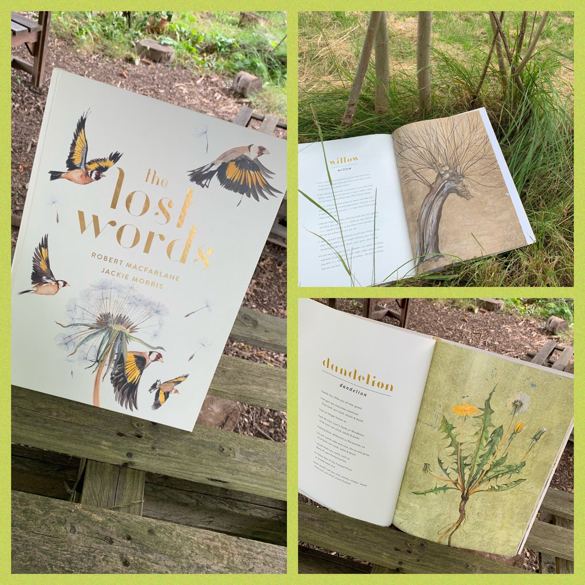 🌿 THE LOST WORDS 💫

Today is transition day and, this year, our focus text is ‘The Lost Words’ by @RobGMacfarlane & @JackieMorrisArt 🌺

Inspired by our Forest School and work for @TMAT_Earthshot, we’re casting spells and conjuring back words from the natural world around us 🌍