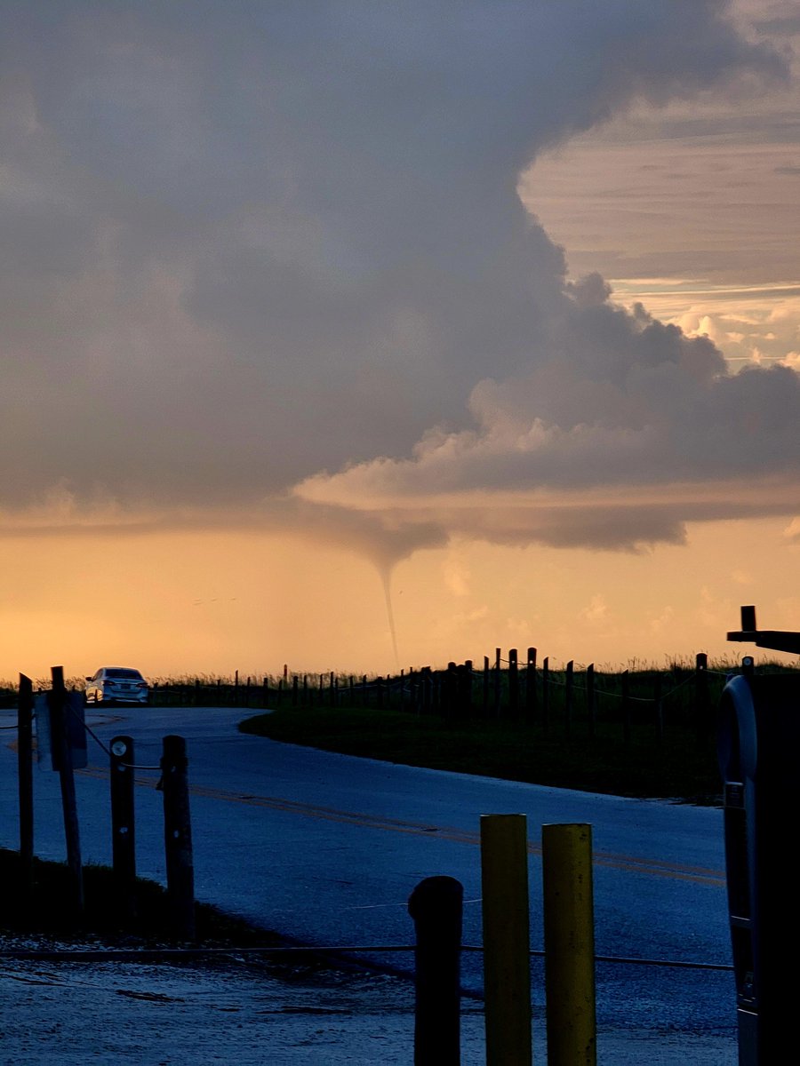 Sarah Padgett tweet media