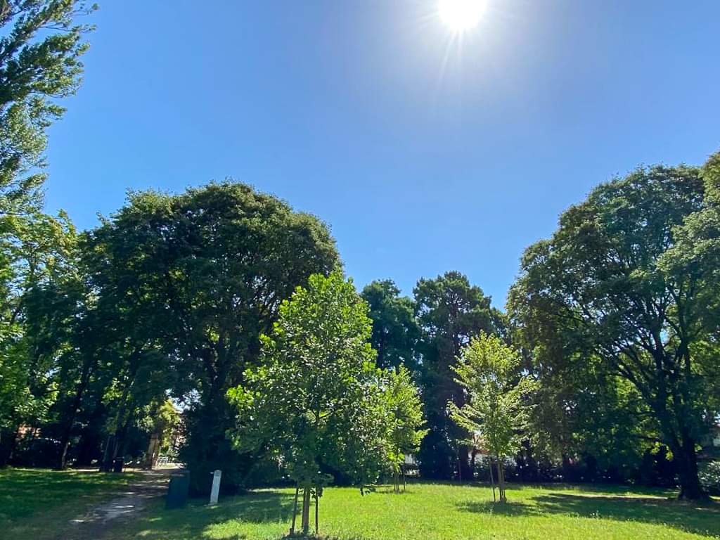 SimonVenturini's tweet photo. #MESTRE • Il #Parco di Villa Tivan "ufficialmente" al Comune.
Nei giorni scorsi la Giunta ha sottoscritto un accordo con il #Demanio che garantirà 6 anni di concessione dello spazio verde di oltre 20mila metri quadrati sul #Terraglio. https://t.co/3Jt6yaqiho