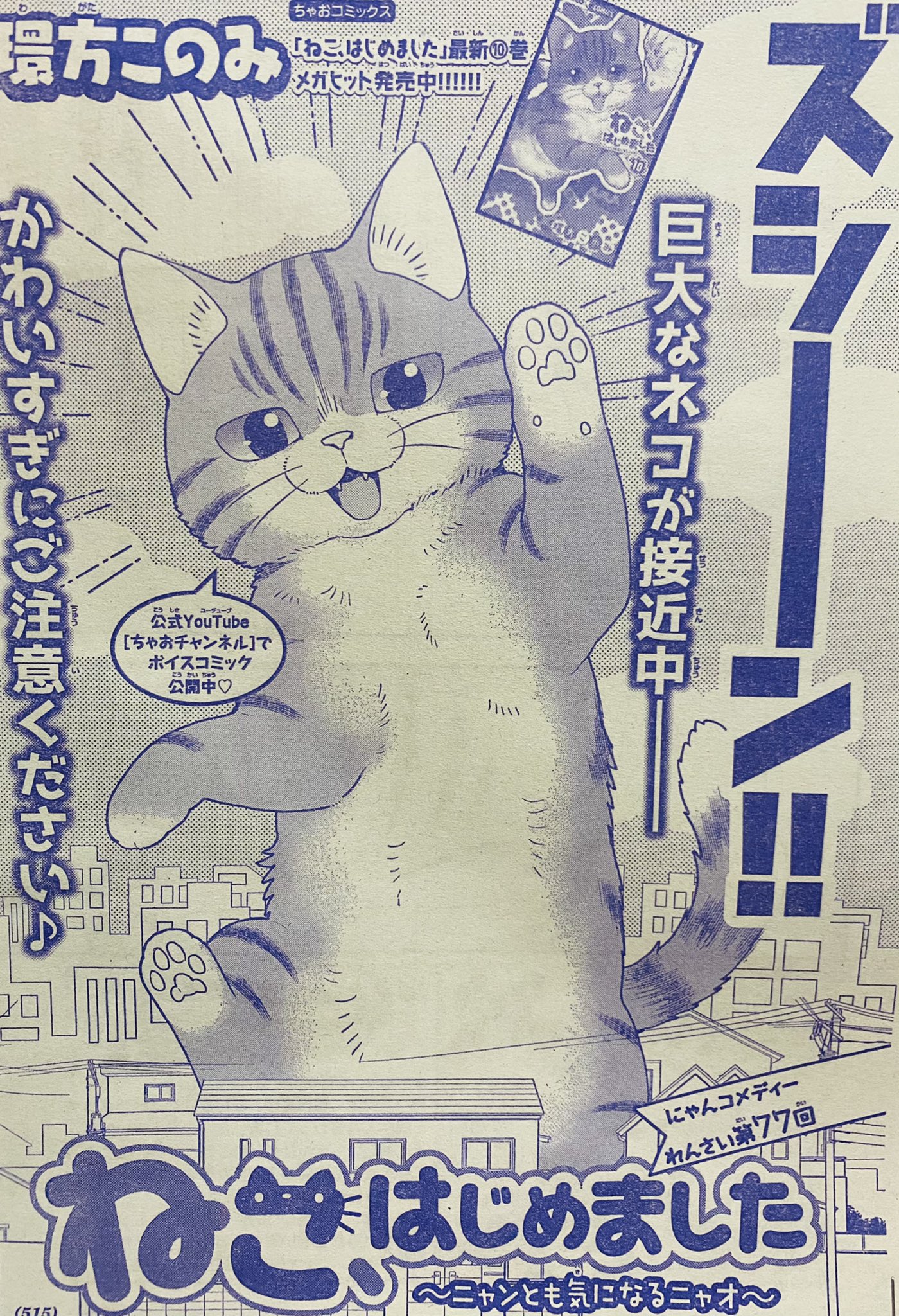 環方このみ Nekohajimeta Twitter