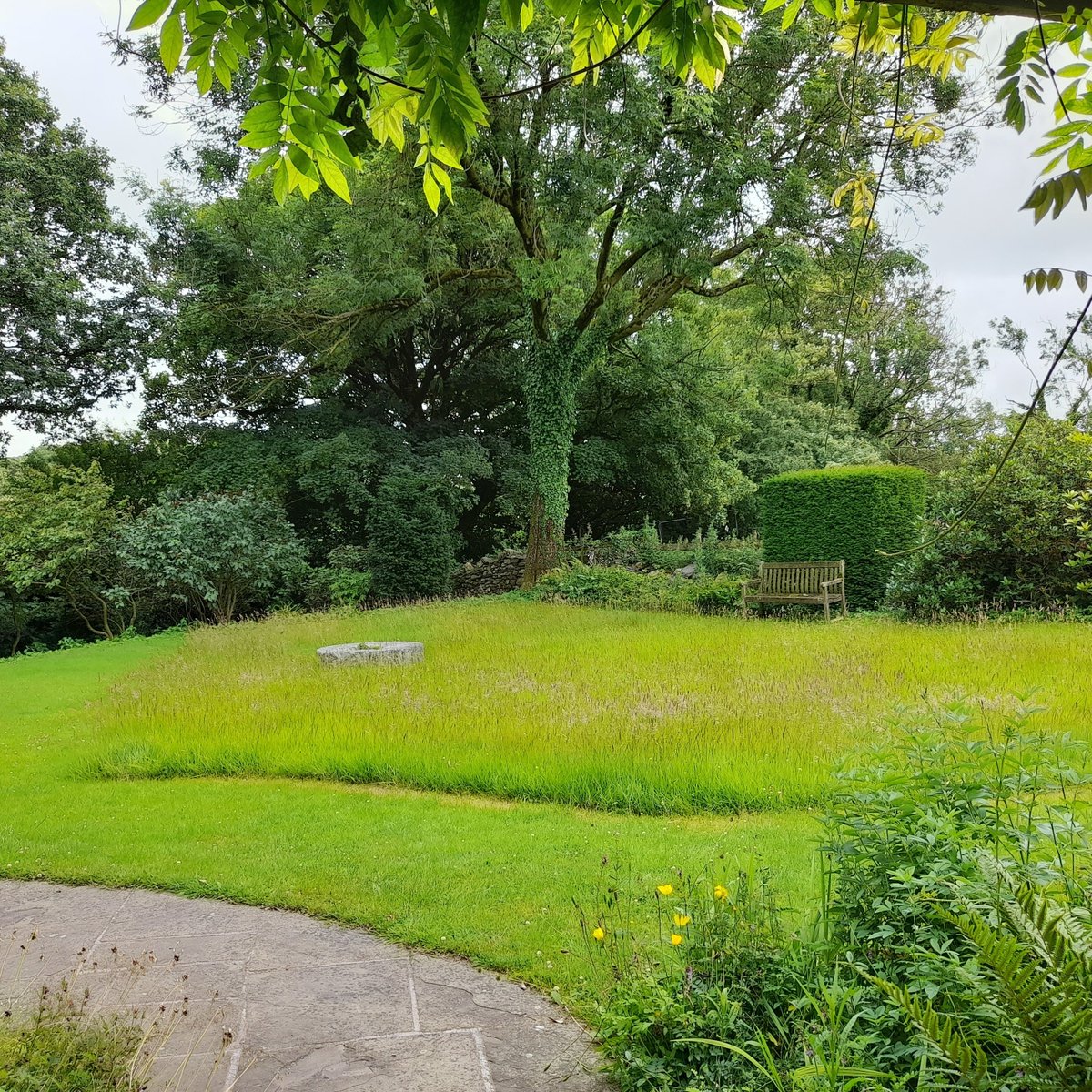 swarthmoorhall's tweet photo. The site being closed for major works has given us the ideal opportunity to leave additional areas of the grounds unmown as wildlife habitats over the summer months.  What do you think?  We'd love to hear from you.
#wildlifegarden #wildlifegardencumbria #cumbriagardens #ulverston https://t.co/VuB45Cs1eP