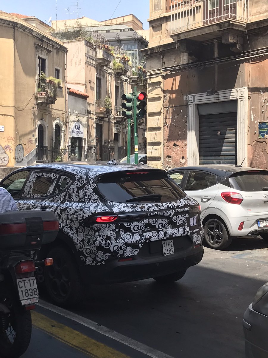 New Alpha spotted in Catania, Sicily!