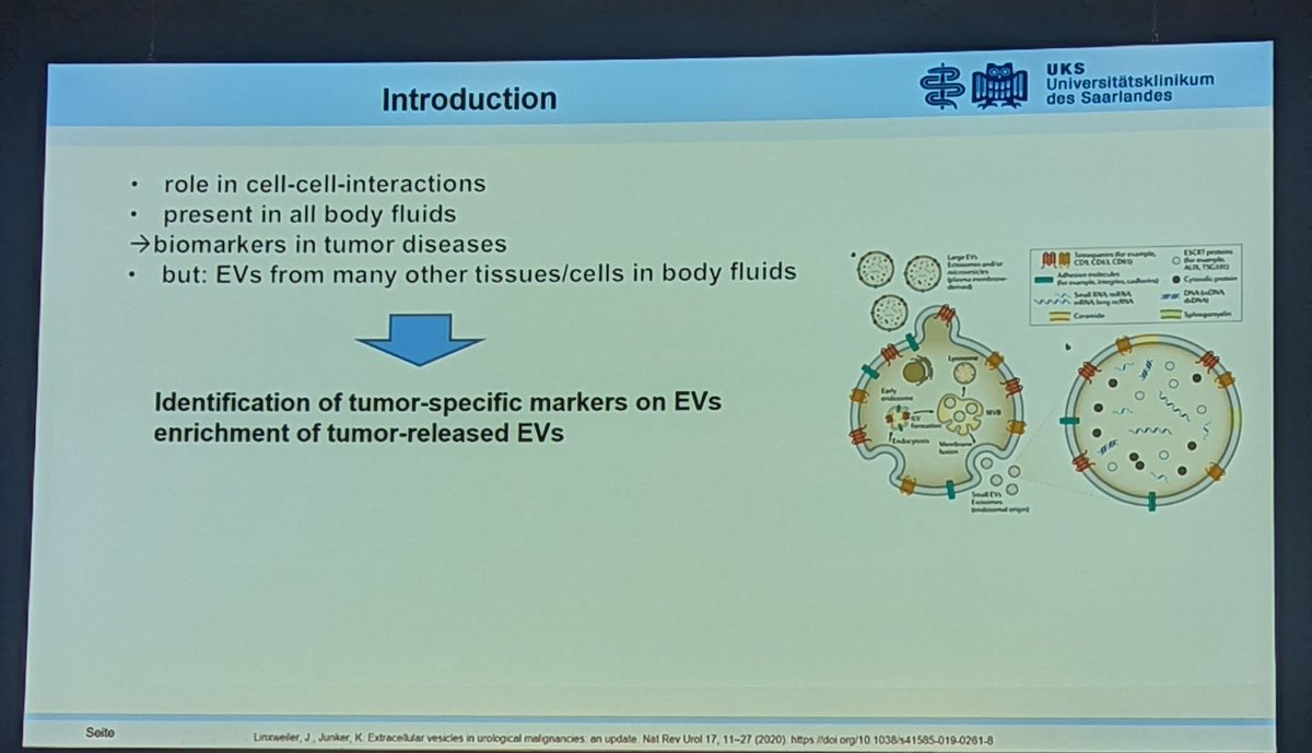 Identification of tumour specific markers on extracellular vesicles - successful isolation of EVs from different sources for development of specific markers. Another figure we recognise! Here's the paper by <a href="/JLinxweiler/">Johannes Linxweiler</a> et al.  rdcu.be/cQWxN