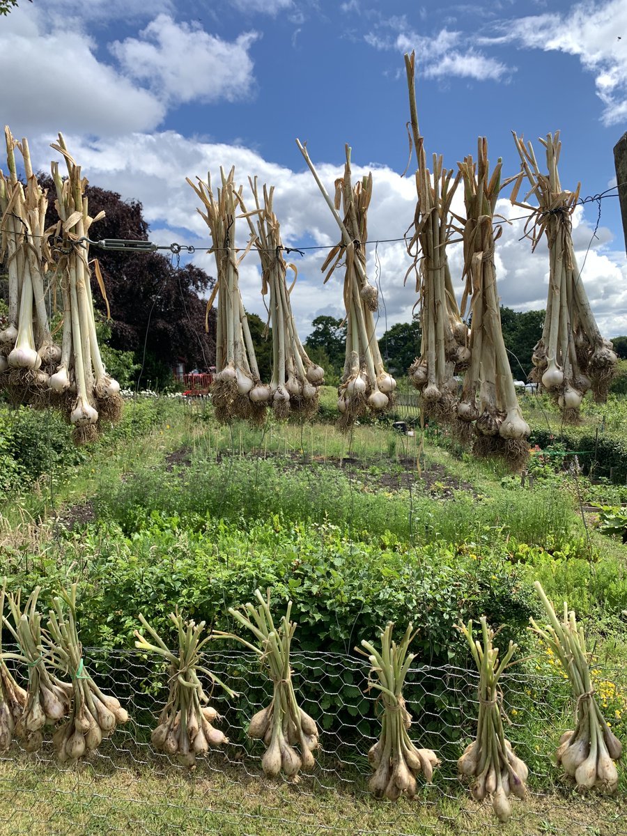 Edinburgh Community Food tweet media