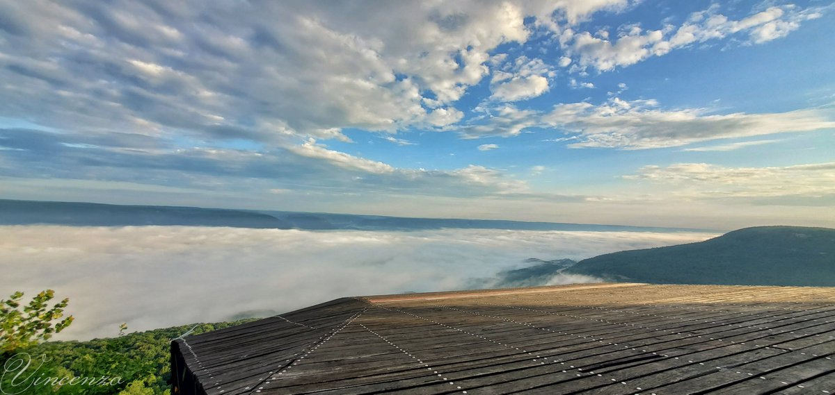 AlisonPryorWx's tweet photo. Amazing views of fog in the Sequatchie Valley. For perspective, photos were taken from the TN Tree Toppers stand. #TNwx #SequatchieValley #fog
📷: Mike Maddalena https://t.co/BYuusbxii2