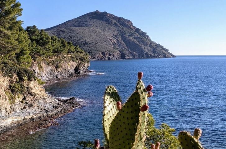 Two Life projects to preserve ecosystems and endemic species  #CapdeCreus #Pirineo #Alpes #empordà #Costabrava

<a href="/IBB_botanic/">Institut Botànic de Barcelona</a> <a href="/ceabcsic/">CEAB-CSIC</a> <a href="/LIFEprogramme/">LIFE Programme</a> 

 👉🏾rdcsic.dicat.csic.es/en/recursos-na…