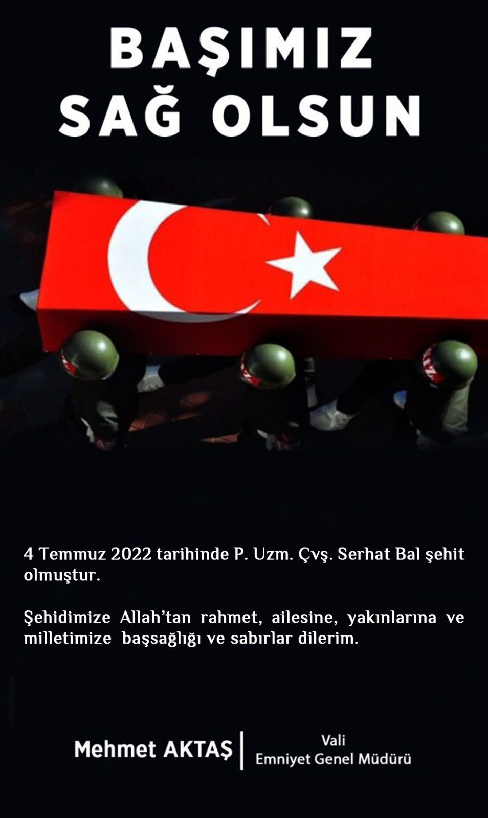 Resim