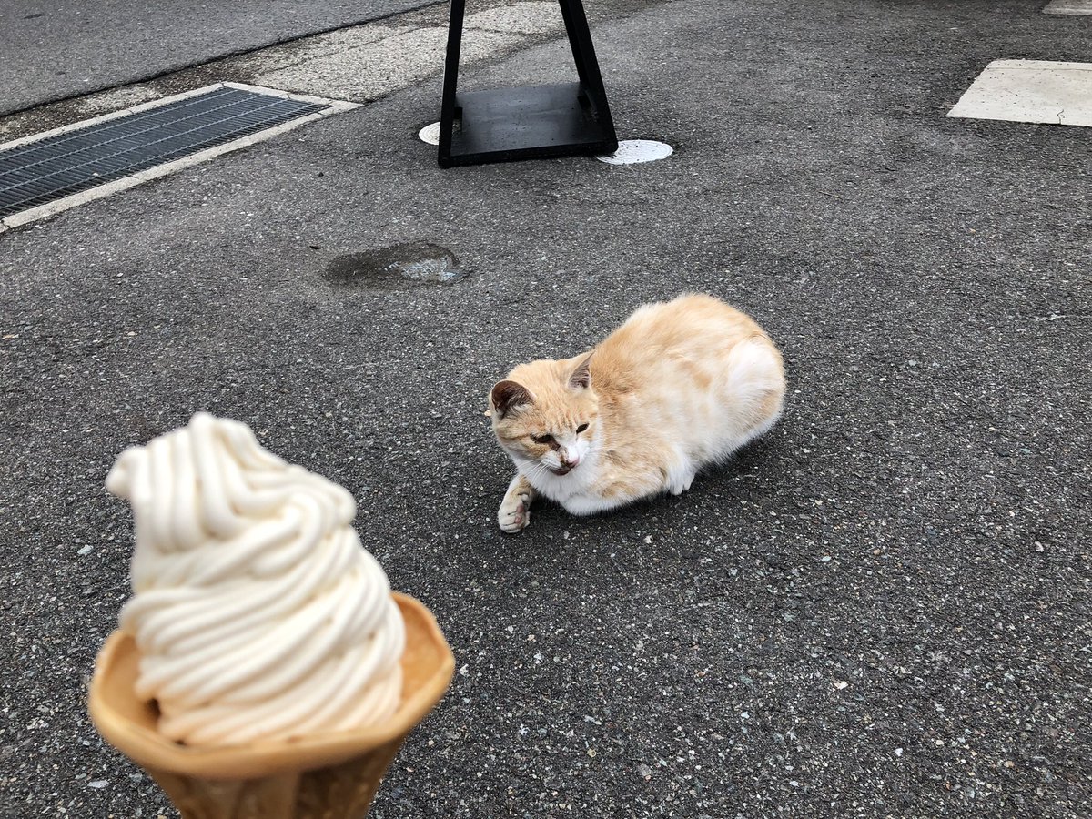 pqm88y's tweet photo. 🍦 https://t.co/C5e7RzhDiJ