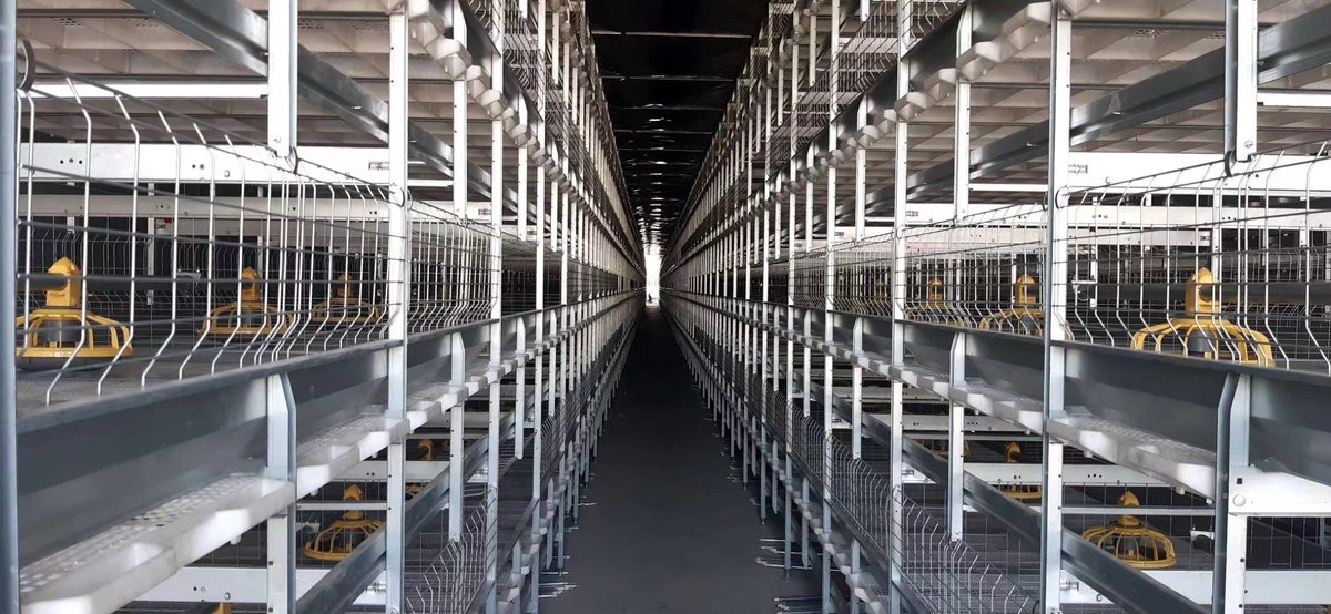 Qingdao Ejoy Farming Machinery Co., Ltd. tweet media