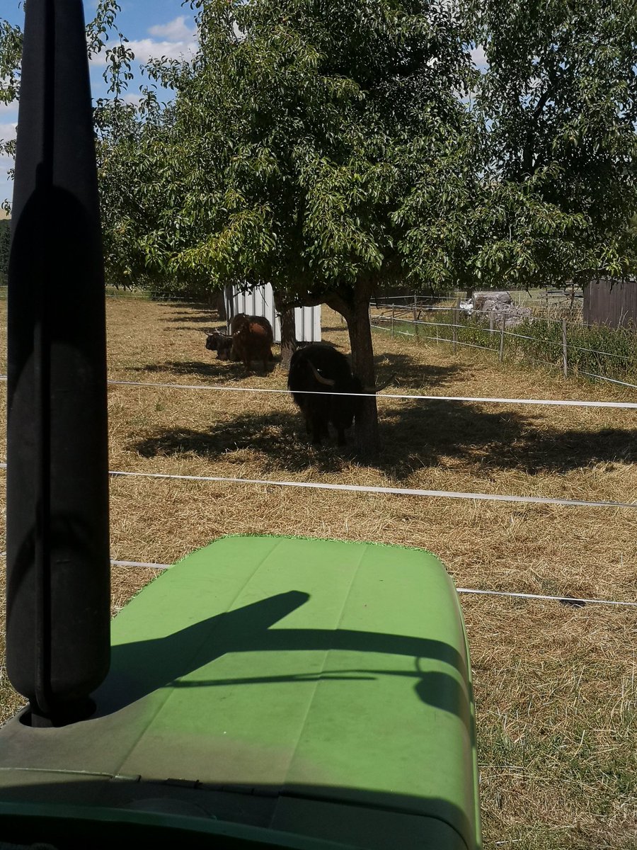 Irgendwie fühle ich mich beobachtet 😊