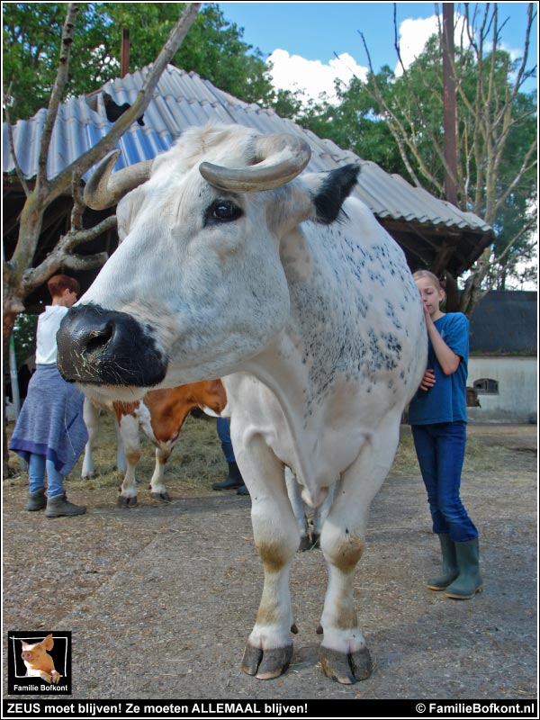 Familie Bofkont tweet media