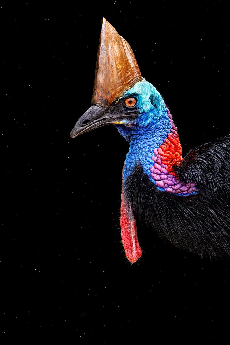 Jan Wegener tweet media