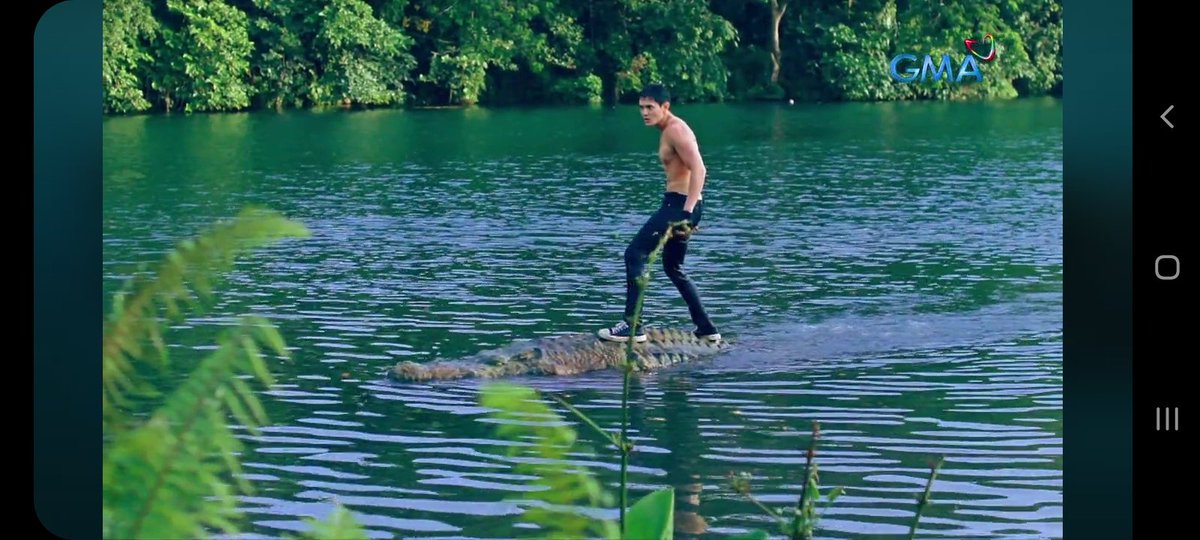 GarzonRhea's tweet photo. Thank you po sa nagpalive sa facebook Lolong GMA para sa mga kagaya ko na walang tv nakapanuod parin online ,  sobrang ganda ng Lolong guys!

Galing talaga kuya Ruru!

RURU MADRID
#LolongPremiere
RURU X LOLONG
@Rurumadrid8 https://t.co/hoUEGPq5Cd
