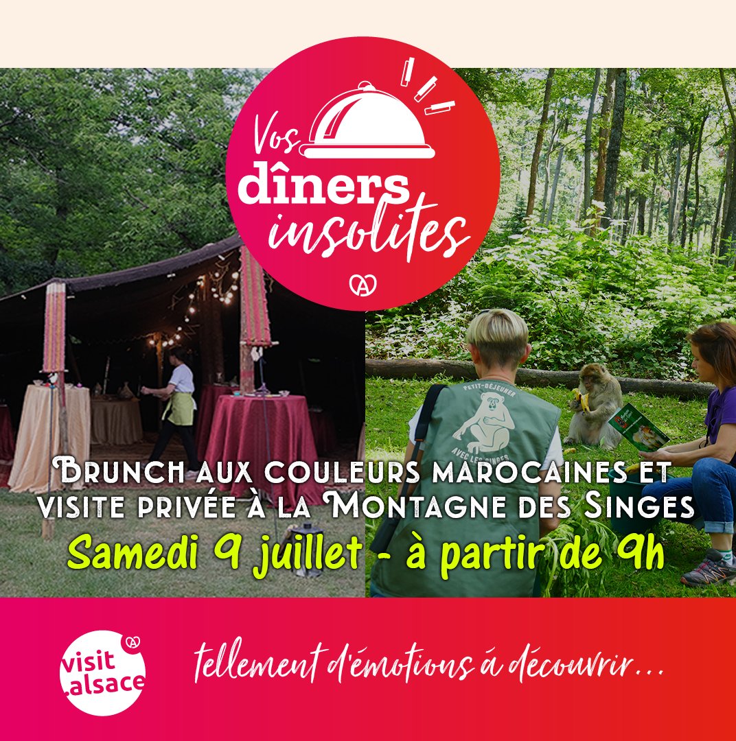 Un brunch marocain à la Montagne des Singes avec une visite privée du parc ça vous dit ? 🙉

Ne tardez pas à réserver votre place ici 👉 montagnedessinges.com/informations-p…

💸 68€ par personne