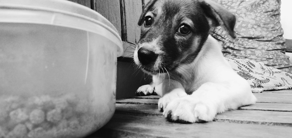 eoghanxz's tweet photo. i'm sorry, mamot. i love u </3 https://t.co/Y1Emq9tL7X