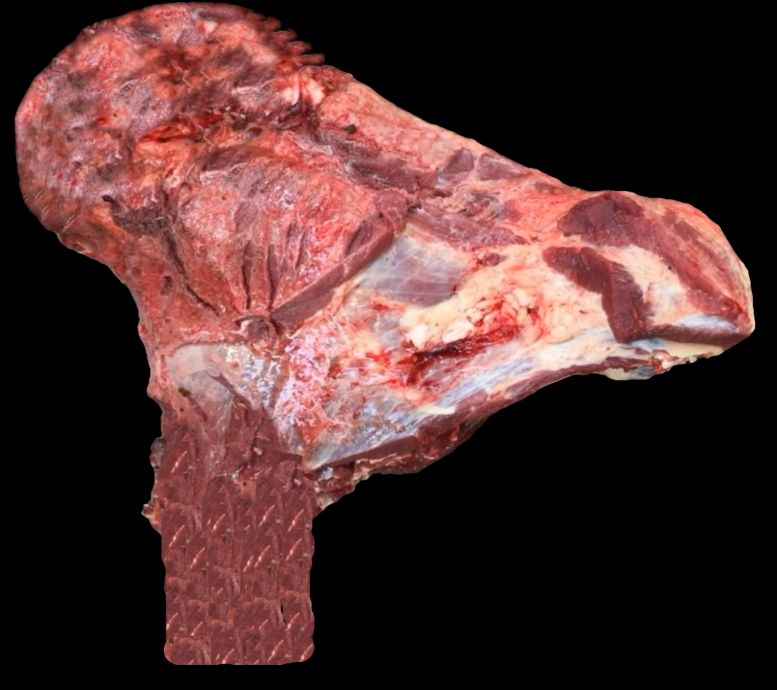 Twitching Meat tweet media