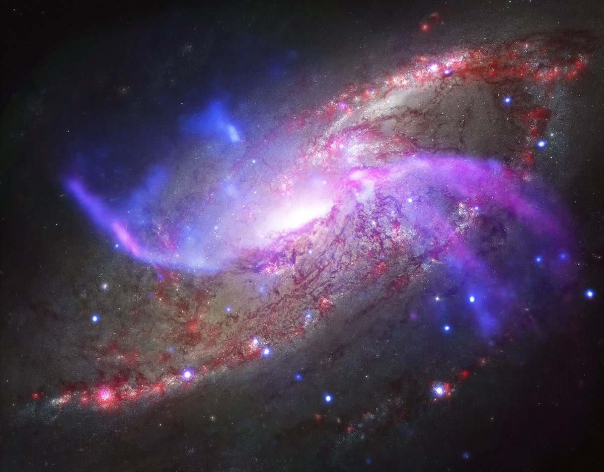 chandraxray's tweet photo. Happy #4thofJuly! Awe-inspiring #fireworks are happening on a galactic scale in M106. Jets from a supermassive black hole are generating powerful shock waves. The shock waves are then heating gas, enough gas to make up about 10 million Suns, to thousands of degrees! https://t.co/JrcUyfyhJT