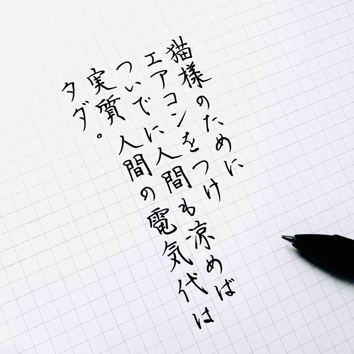 猫様のためにエアコンをつければ猫様のためのエアコン代はかかるものの一緒にいる人間のためのエアコン代はタダｗ