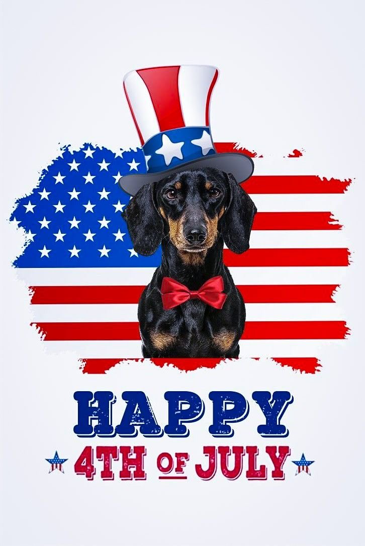 Weenie Dogs ❤️ (@weeniedogs4life) on Twitter photo 