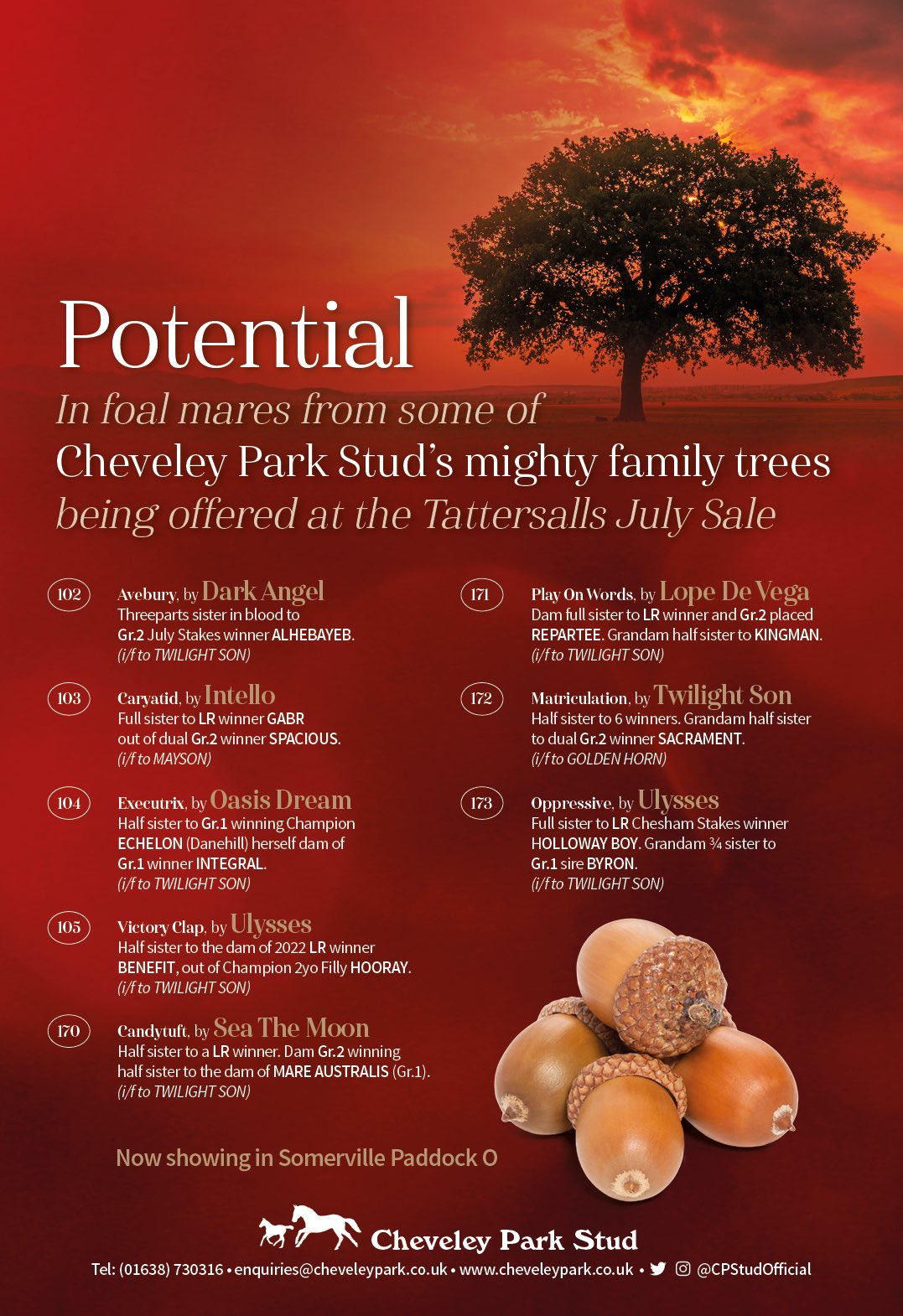 Cheveley Park Stud on Twitter "There are 8️⃣ infoal mares being