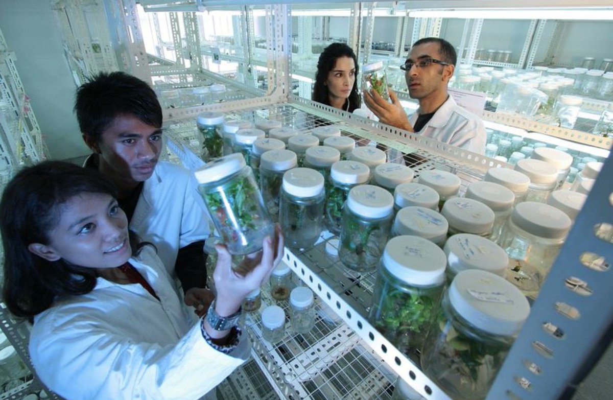 STeP_IAI tweet media