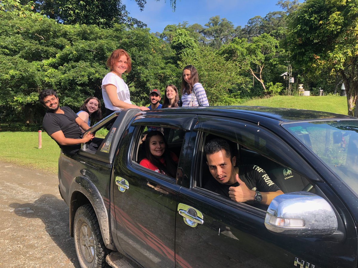 Joseph Williamson tweet media