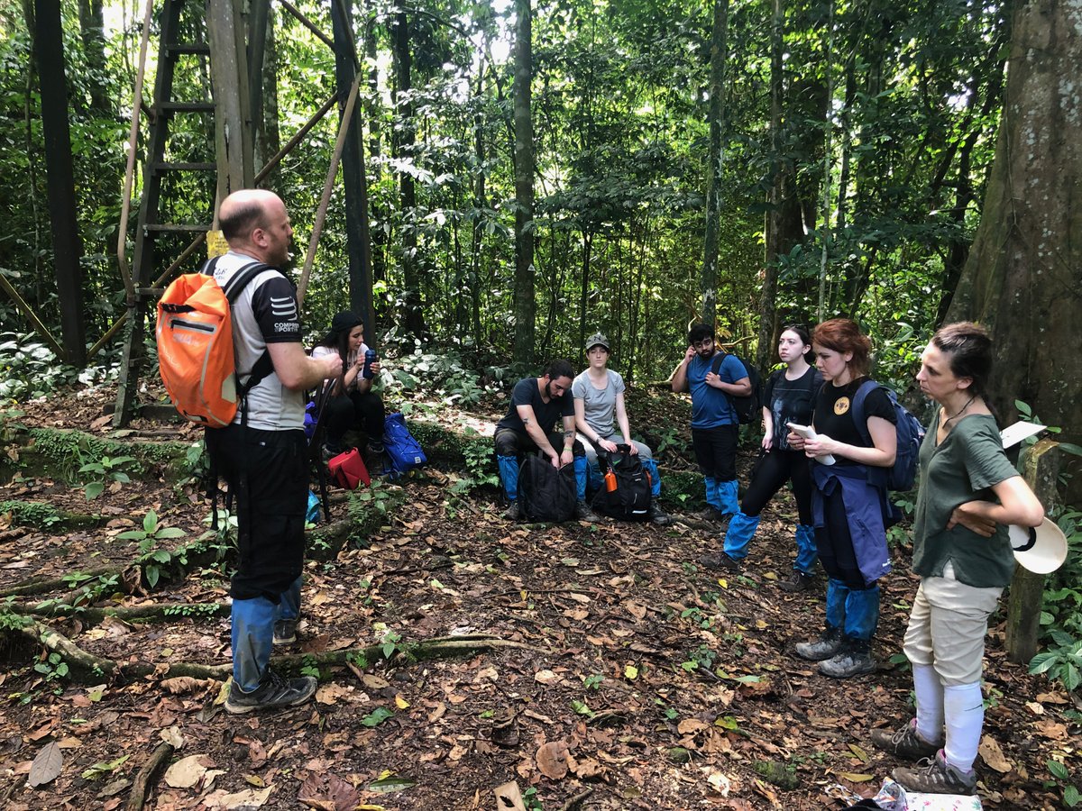 Joseph Williamson tweet media