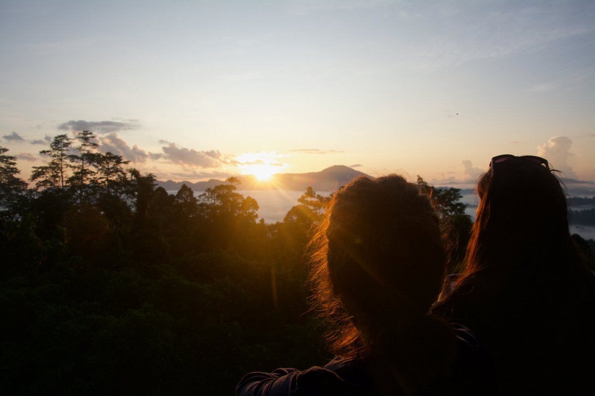 Joseph Williamson tweet media