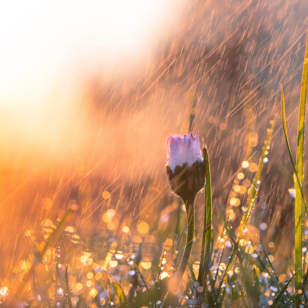 Give your mind time to separate your thoughts and feelings, by listening to soft voices and nature. 

Why not try our mindfulness sessions or background sounds from nature. Download the app now - Clarity.app