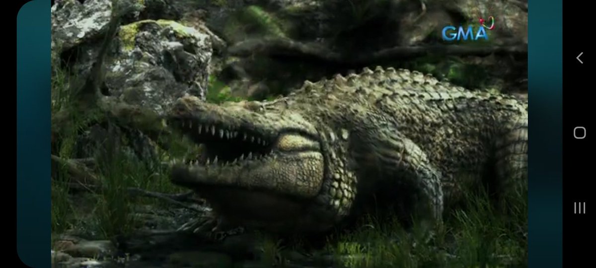 Dakilaaaaa 

RURU MADRID
#LolongPremiere
RURU X LOLONG
<a href="/Rurumadrid8/">Ruru Madrid</a>