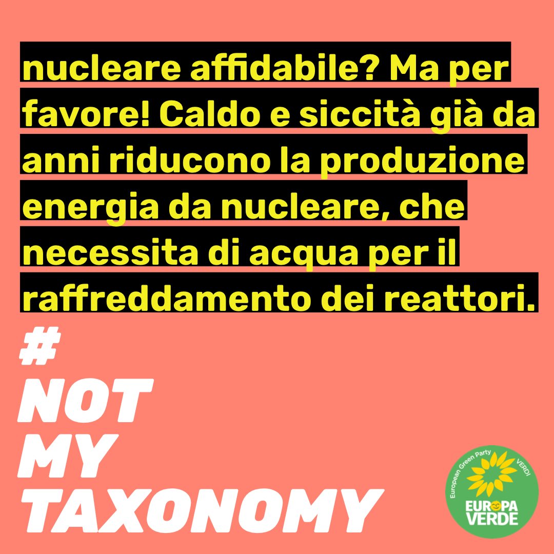Eleonora Evi tweet media