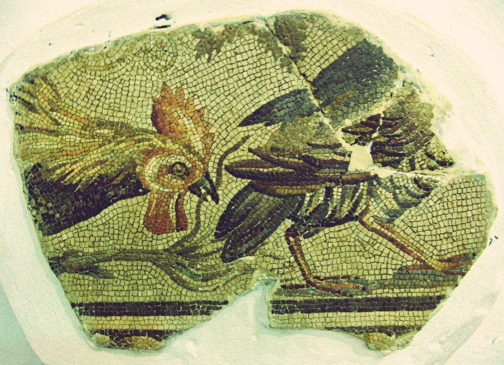 romanarchaeouk's tweet image. The display of mosaics when ARA&apos;s study tour visited the museum at Ptolomais, Libya, included several Bacchic mosaics, including one with the four seasons and big cats either side of a cantharus, and a marvellously detailed birds fragment #MosaicMonday