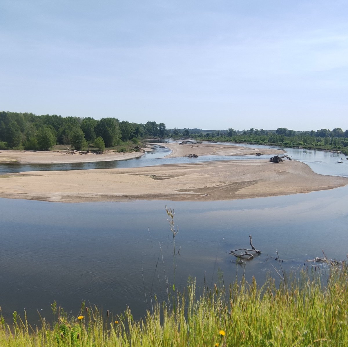 Échanges fructueux auj avec les collectivités du territoire du projet de labellisation internationale #Ramsar #ValdAllierBourbonnais, de Vichy au Bec d'Allier, en présence de @jeromebignon Pdt de <a href="/RamsarFrance/">Ramsar_France</a> et retour d'expérience du site #Ramsar Vallée de Somme et de l'Avre.
