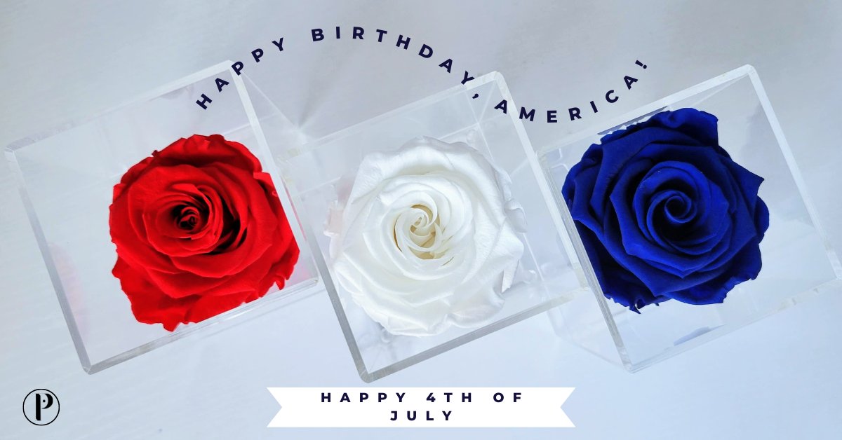 PriveRoses's tweet photo. Happy 4ht of July! 

#arlingtonva #infinityroses #WashingtonDC #shopsmallbusiness 

https://t.co/ZmXeYwPoAG https://t.co/sbWSKY1upw