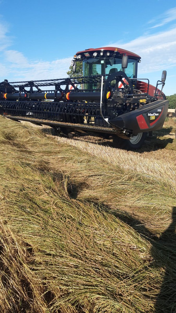 Andainage des Ray-grass D'Italie semences.
Semaine prochaine, les andains seront repris avec la moissonneuse-batteuse pour battage et récupérer ainsi les graines qui seront commercialisées après triage et conditionnement aux collègues.
#CeuxQuiFontLesSemences
#FrAgTw
