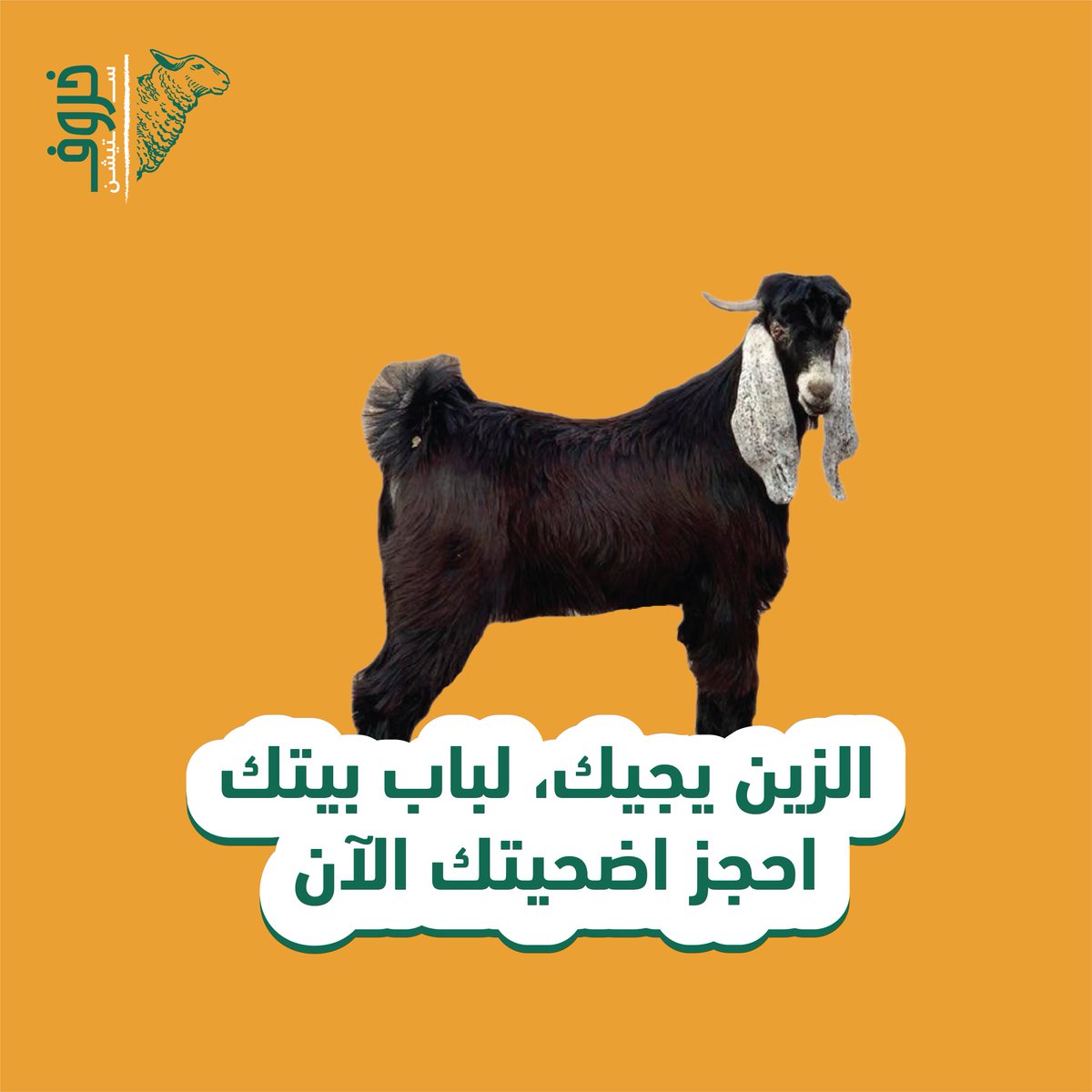 5arofstation's tweet photo. 🤭ايش باقي تنتظر 
للحين ما حجزت الأضحيه؟
.
.
.
#اضاحي #عيد_اضحى #خروف #اضحية #حري https://t.co/ST6JS5Mgdz