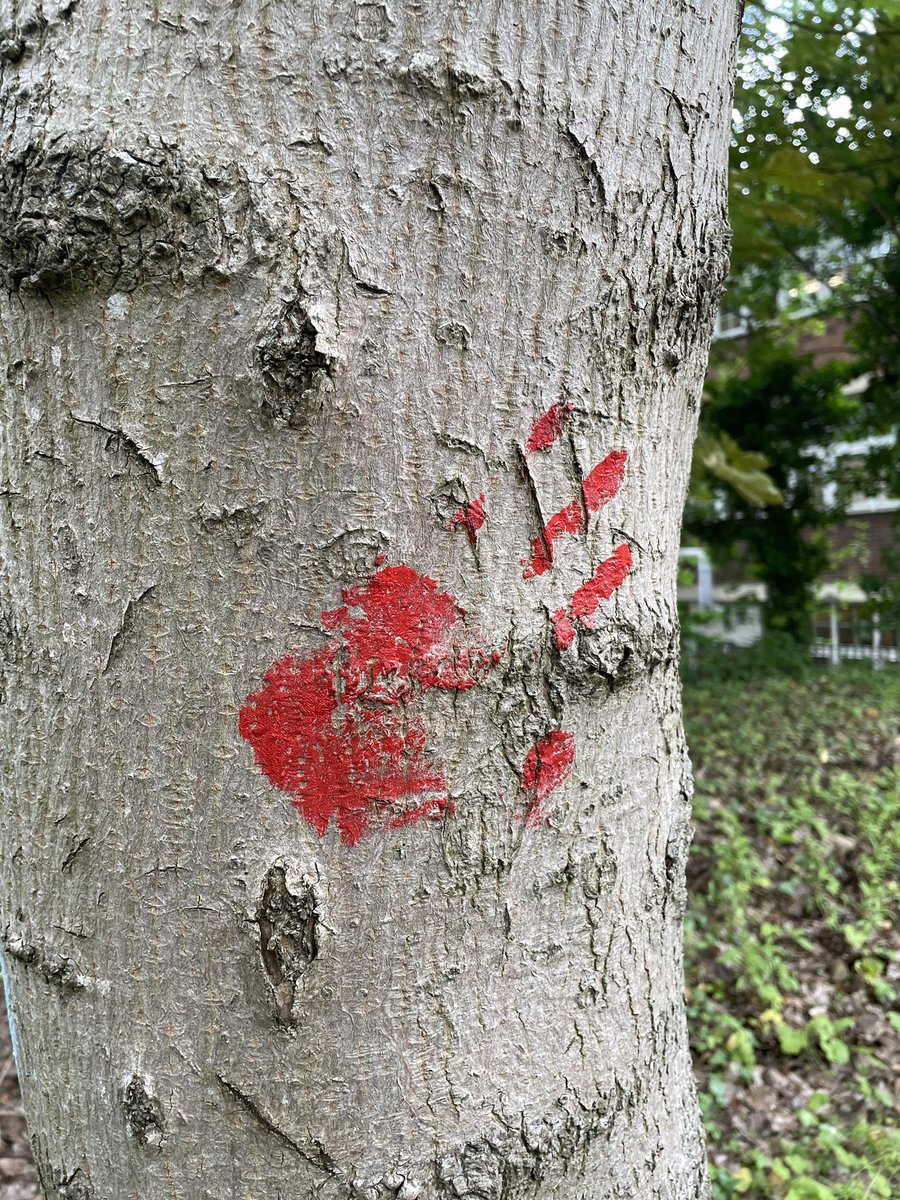 gary_rose's tweet image. This week we are experimenting with #singlecamera techniques in the “film set” outside my classroom!

Y12 @pearsonbtec #BTECCDMP have been creating #preproduction for a new drama #NetflixOriginal in the crime, horror or supernatural genre.

In Y13 they finally film &amp;amp; edit it!
