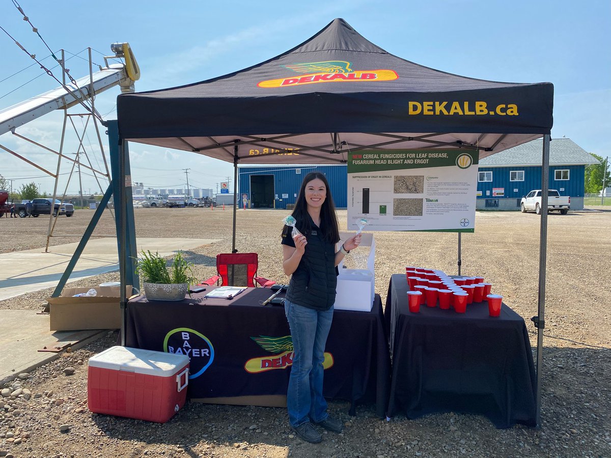 PeaceTeamBCS's tweet photo. Each week this summer, we will be introducing a member of our team! To kick us off, we have  @natasha_evans01, the West Peace summer student. From Altario, she is completing her degree @agbiousask &amp; is enjoying working with new people! @Bayer4CropsCA @DEKALB_Canada https://t.co/NF096YZuAp