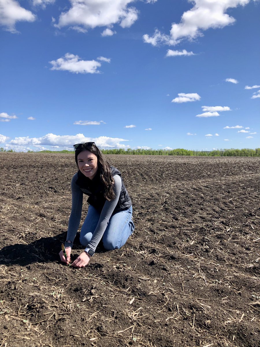PeaceTeamBCS's tweet photo. Each week this summer, we will be introducing a member of our team! To kick us off, we have  @natasha_evans01, the West Peace summer student. From Altario, she is completing her degree @agbiousask &amp; is enjoying working with new people! @Bayer4CropsCA @DEKALB_Canada https://t.co/NF096YZuAp