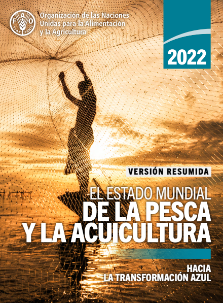 Una producción pesquera y acuícola sin precedentes contribuye de manera decisiva a la seguridad alimentaria mundial

Les comparto la última edición: 
El estado mundial de la pesca y la acuicultura 2022
🐟📘➡️bit.ly/3OK2Jee
