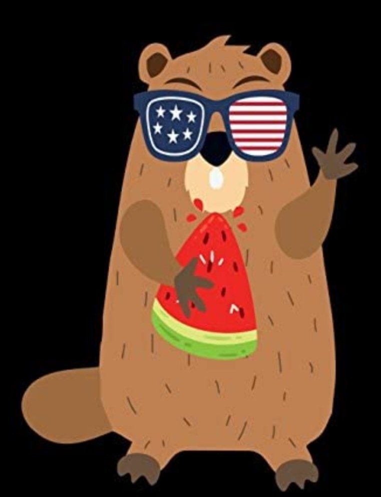 GrumpyBeaverPub's tweet photo. The Grumpy Beaver is CLOSED today! Happy Independence Day!  July 4th is not a holiday in Great Britain... https://t.co/2Wz8y1ED9r