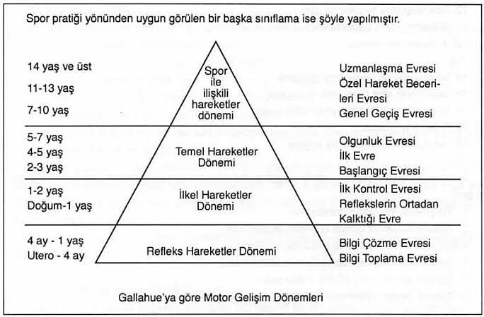 Temel hareket döneminden itibaren çocuklarımız sporla tanışmalıdır.Ancak bu şekilde spor kültürü oluşturula bilir ve sağlıklı yaşamın ilk temellerini atmış oluruz . Bu yüzden Beden Eğitimi ve Spor Öğretmeni her kademede derse girmelidir. <a href="/tcmeb/">Millî Eğitim Bakanlığı</a> 
#ilkokullardabedeneğitimi
