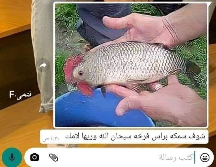 #البتاعه
طب دي نقول عليها ايه😂😂